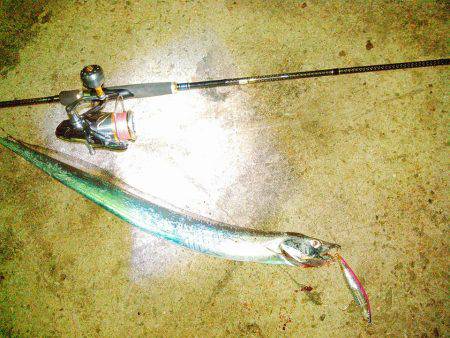 おつかれフィーーーッシュ！✨